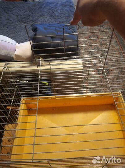 Клетка для животных бу