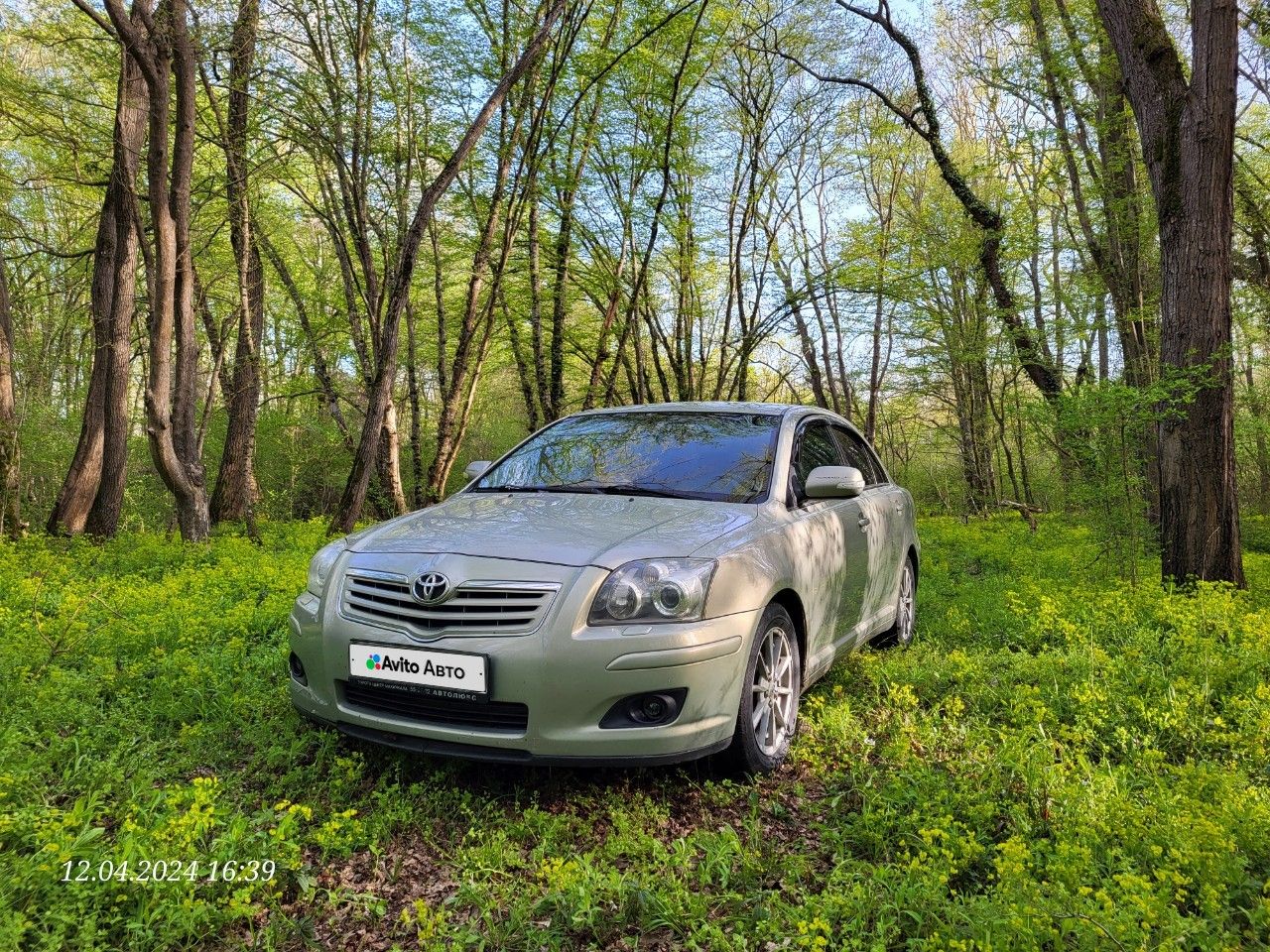 Toyota Avensis: фото владельца