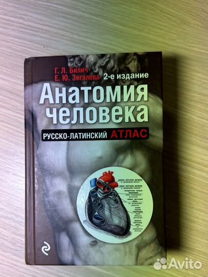 Анатомия человека Атлас Билич Зигалова