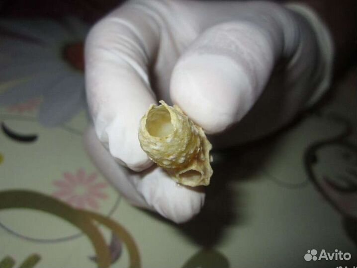 Маточное молочко (омоложение клеток) в Тюмени