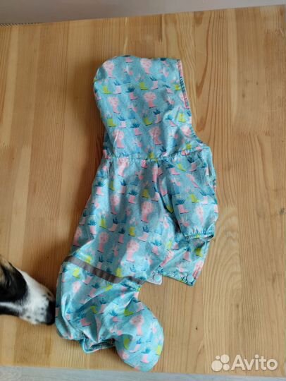 Одежда для собаки