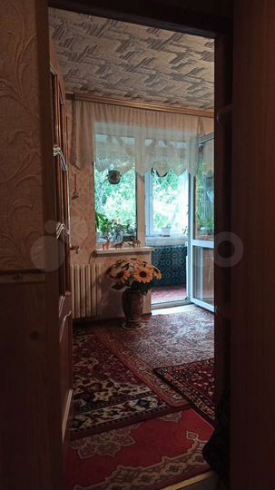 1-к. квартира, 34,4 м², 1/9 эт.