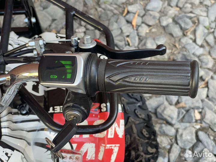 Квадроцикл детский promax E-mini 1000W