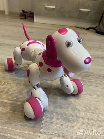 Собака Робот