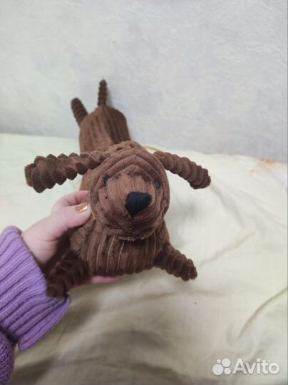 Тёмно-коричневая такса