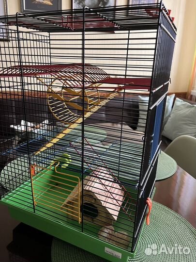 Клетка для грызунов бу