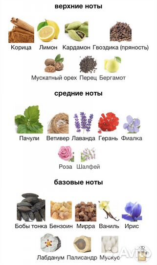 Духи мужские Patchouli Noble Secret III Eisenberg