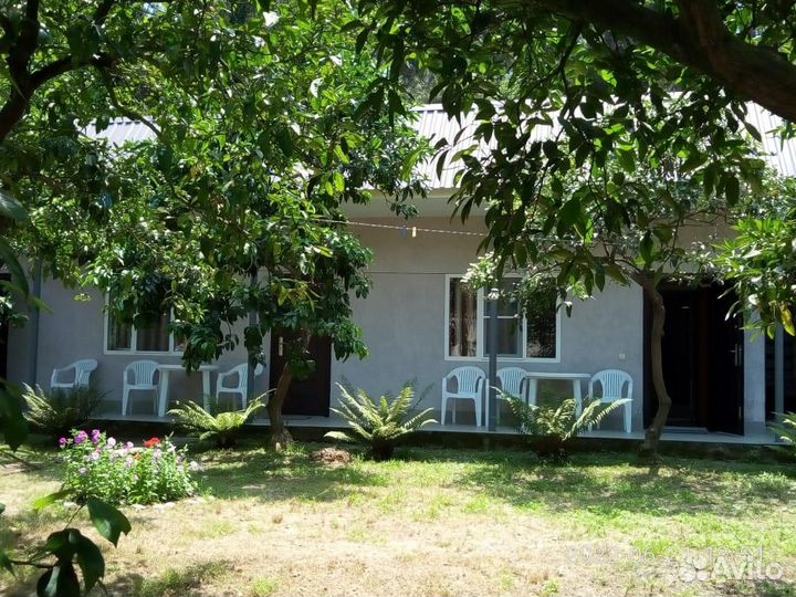 Отдых в Абхазии (Пицунда)