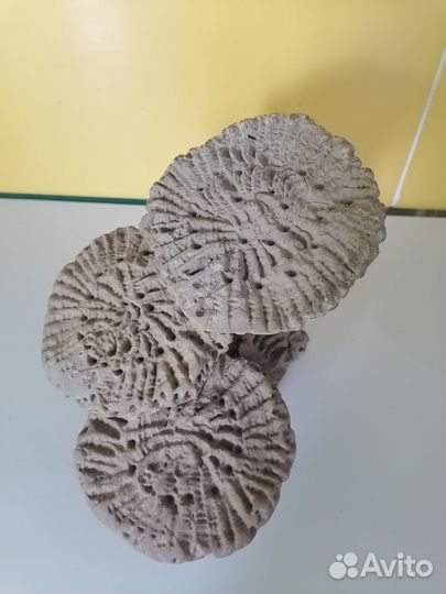 Аквариумный декор