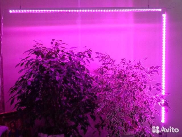 Фитосветильники 570 мм. 10 Вт. Новые