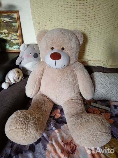 Плюшевый медведь
