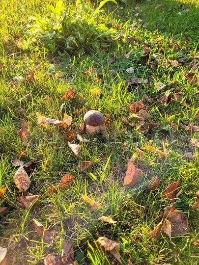 Дом 45 м² на участке 8,7 сот.