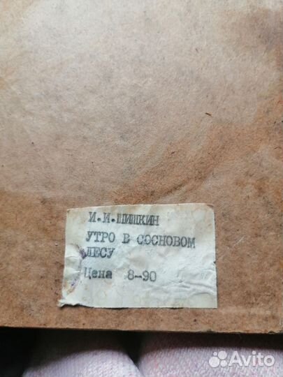 Утро в сосновом лесу картина