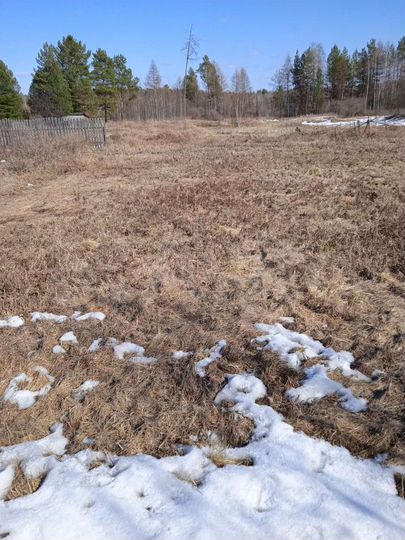 Участок 10 сот. (СНТ, ДНП)