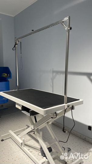 Груминг зона аренда