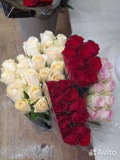 Розы Астрахань классная цена