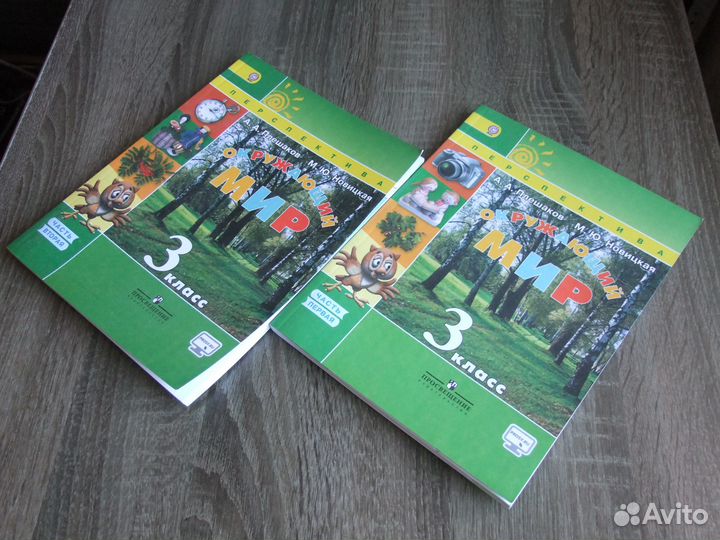 Плешаков Окружающий мир 3 класс Учебник В 2х чч