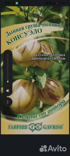 Пепино Консуэло