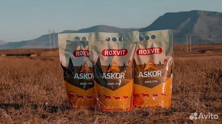 Премикс П5 для цыплят-бройлер 1-4 недель