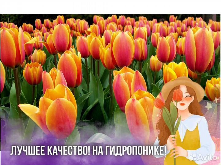 Тюльпаны оптом к 8 марта