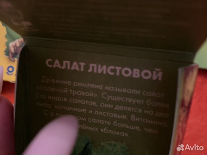 Семена зелени для посадки и овощи для рассады