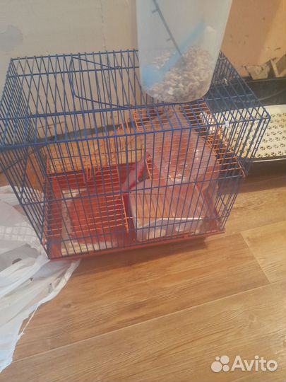 Клетка для грызунов с аксесуарами