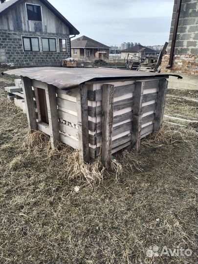 Собачья будка