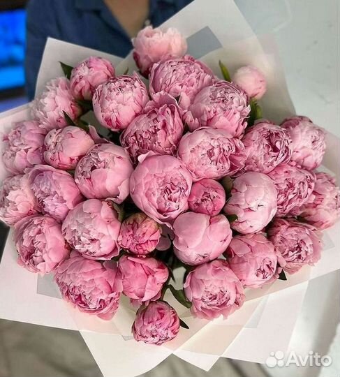 Пионы Букет пионов