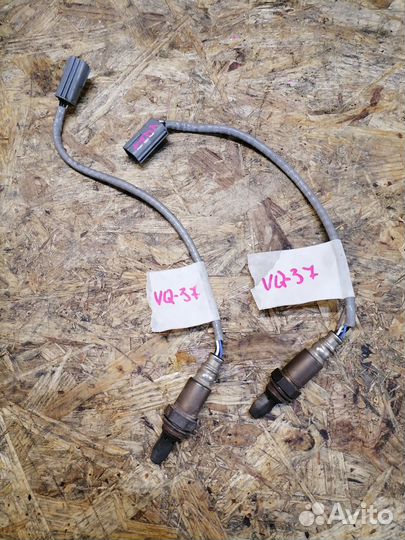 Лямбда первая Infiniti M37 FX37