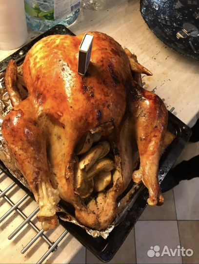 Индейка домашняя