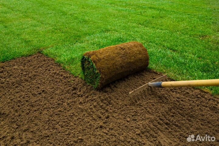Рулонный газон с доставкой