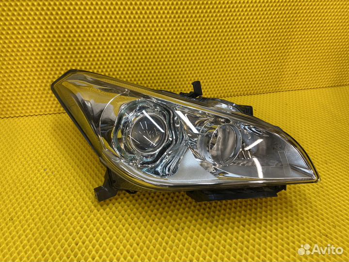 Комплект фар биксенон infiniti Q70 M37 M25 Y51