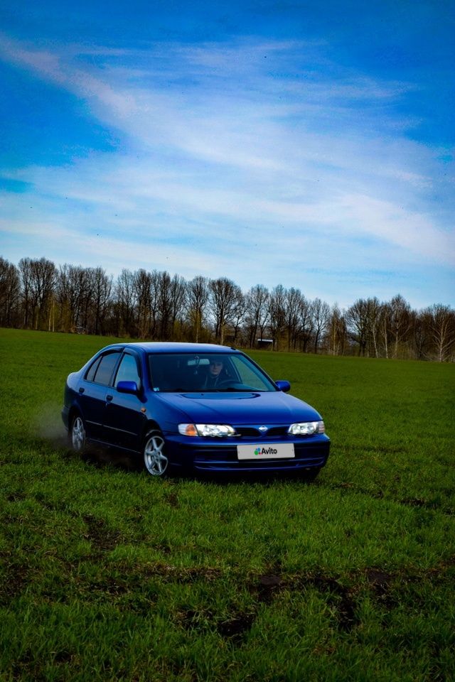 Nissan Almera: фото владельца
