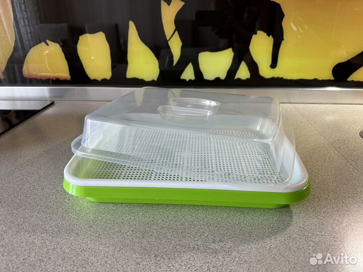 Контейнер для проращивания семян