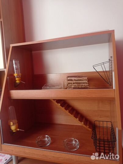 Витрина для морских свинок