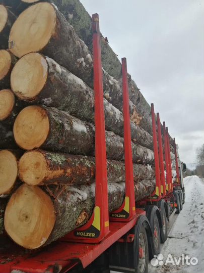 Лес кругляк строевой