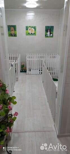 Гостиница для животных