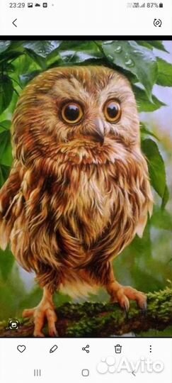 Алмазная мозаика Птицы, 20/30