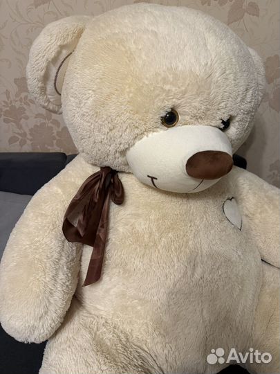 Плюшевый медведь