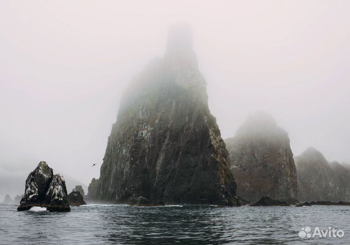 VIP Тур на Камчатку