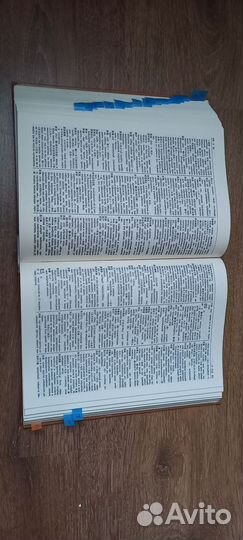 Большой китайско- русский словарь