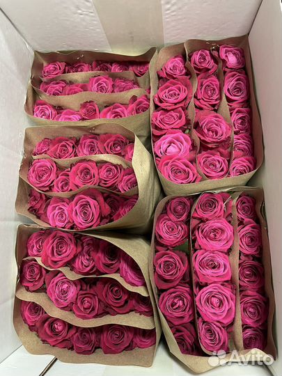 Букеты роз с доставкой. Роза 60см