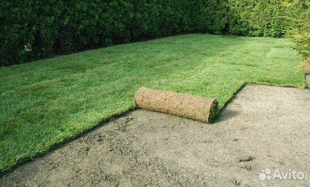 Рулонный газон от производителя