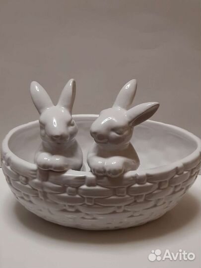 Маслёнка кролики