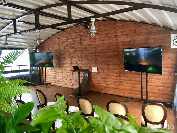 Аренда (прокат) плазм телевизоров