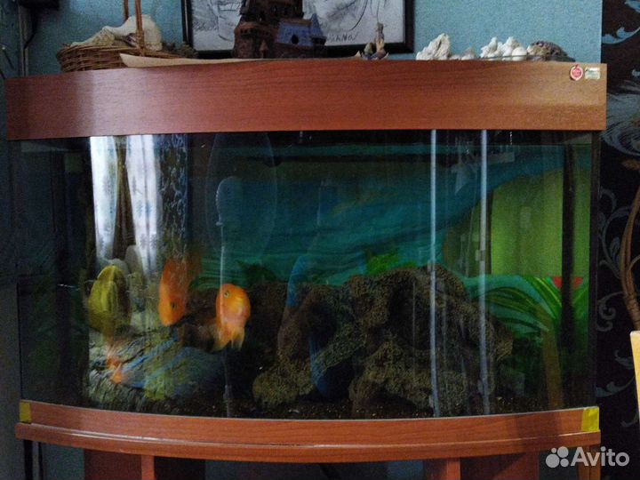 Украшение для аквариума