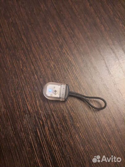 Товары для собак