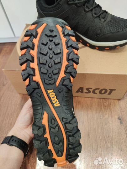 Кроссовки мужские Ascot