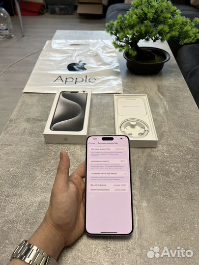 iPhone 15 Pro Max, 256 ГБ