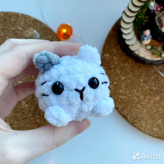 Парные котята